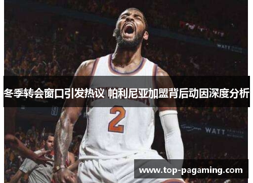 冬季转会窗口引发热议 帕利尼亚加盟背后动因深度分析 冬季转会窗口引发热议 帕利尼亚加盟背后动因深度分析