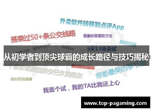 从初学者到顶尖球霸的成长路径与技巧揭秘 从初学者到顶尖球霸的成长路径与技巧揭秘