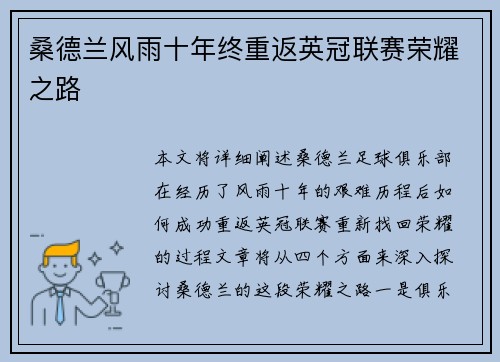 桑德兰风雨十年终重返英冠联赛荣耀之路